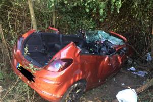 Police appeal after car ploughs into hedge